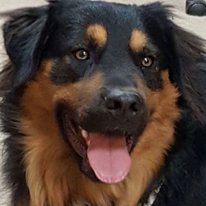 Meet your Posher, Tammy